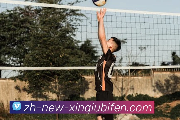 新球体育平台生态图