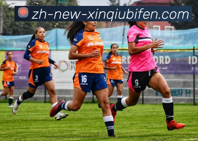 新球体育全站App